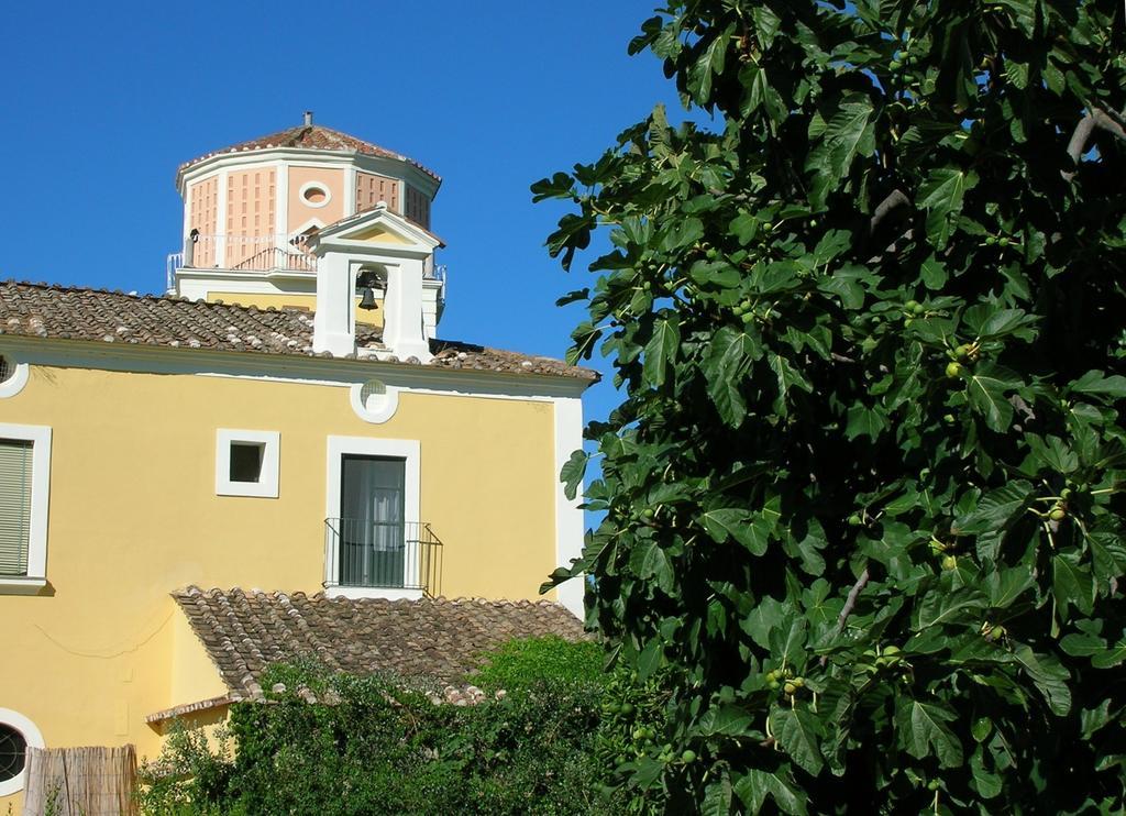 Farmstay La Morella バッティパーリア エクステリア 写真
